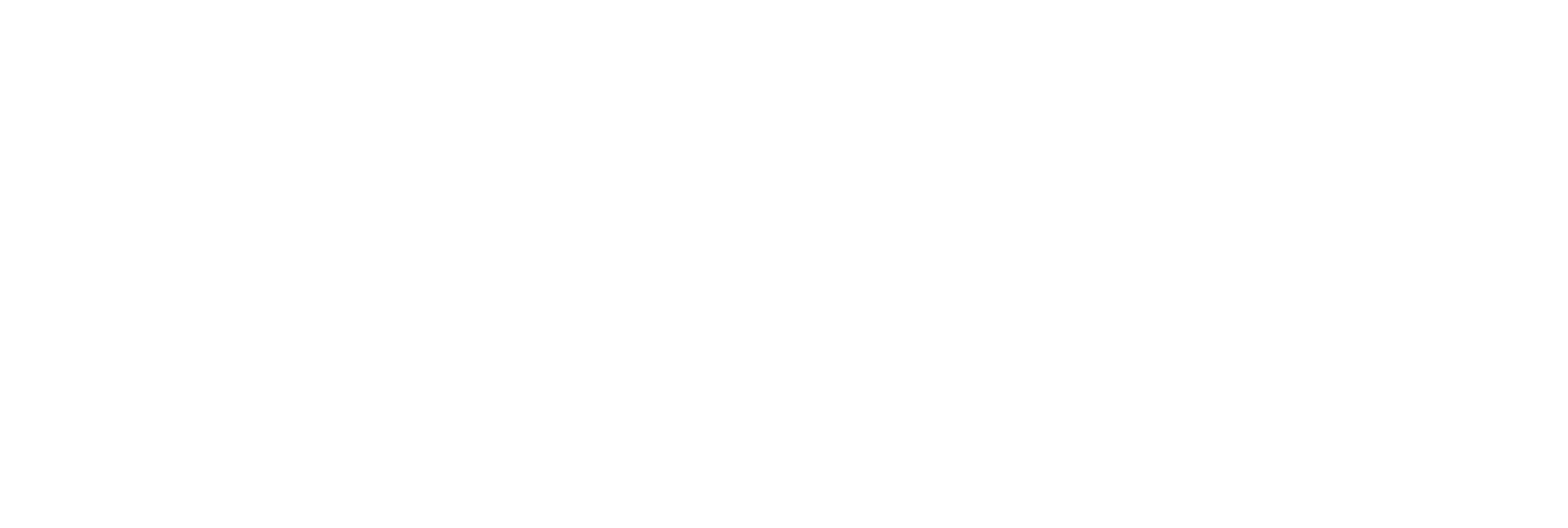 PromoLink_R_2024_RGB_invert